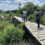 CẦU KÊNH NỒI GỌ II – CON ĐƯỜNG HANH THÔNG ( BÌNH PHONG THẠNH – MỘC HÓA- LONG AN )