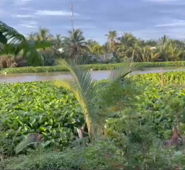 CHUNG TAY XÂY CẦU MICHAEL ROACH ( ĐỢT 2)