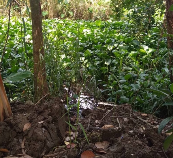 DỰ ÁN KÊU GỌI XÂY CẦU HẠNH PHÚC 4 – ẤP TÂN THANH – XÃ TÂN NHUẬN ĐÔNG – CHÂU THÀNH – ĐỒNG THÁP