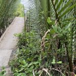 CA103 CHUNG TAY XÂY CẦU ẤP 1 – XÃ HOÀ THẠNH – HUYỆN TAM BÌNH – TỈNH VĨNH LONG