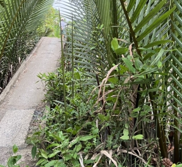 CA103 CHUNG TAY XÂY CẦU ẤP 1 – XÃ HOÀ THẠNH – HUYỆN TAM BÌNH – TỈNH VĨNH LONG