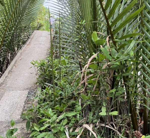 CA103 CHUNG TAY XÂY CẦU ẤP 1 (ĐỢT 2) – XÃ HOÀ THẠNH – HUYỆN TAM BÌNH – TỈNH VĨNH LONG