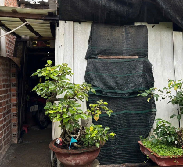 NA39 ƯƠM MẦM MÁI NHÀ YÊU THƯƠNG GIA ĐÌNH ANH LÊ VŨ PHƯƠNG – xÃ DIÊN TOÀN, DIÊN KHÁNH, KHÁNH HÒA