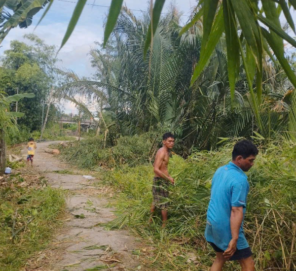 DA02 XÂY ĐƯỜNG THỊNH VƯỢNG KẾT NỐI YÊU THƯƠNG (ĐỢT 2), An Phong – Đông Thạnh – Hóa Thành – Vĩnh Long