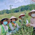 YNA57 ĐIỀU TỬ TẾ OFFLINE THÁNG 11 – TRỒNG CÂY TRỒNG NGƯỜI